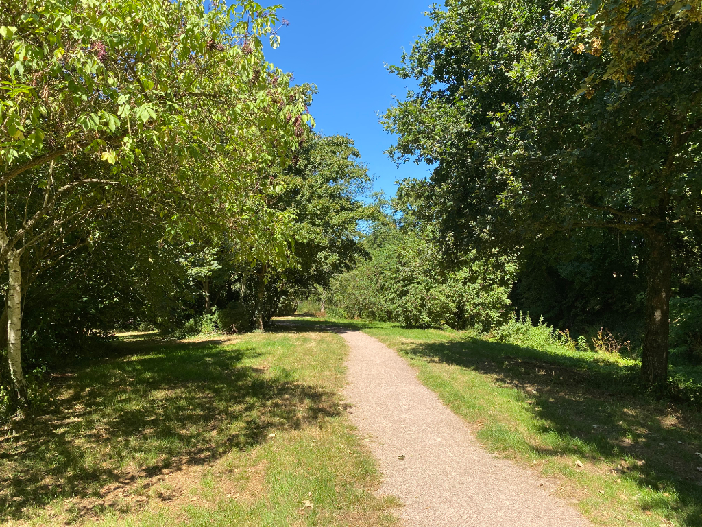 Appartement T2 à Pace