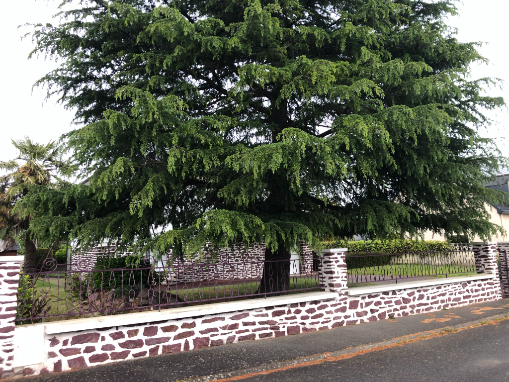 Maison T6 à Pont pean