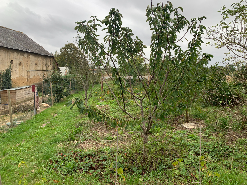 Maison T4 à Saint gilles