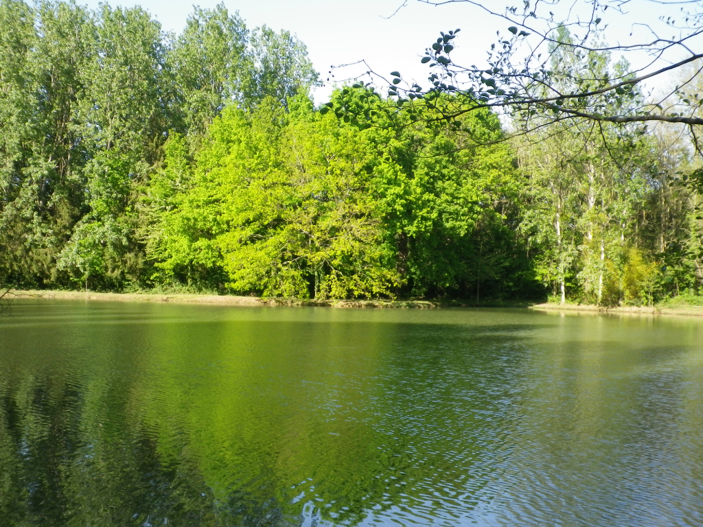 Terrain  à Orgères