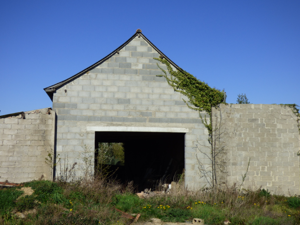 Terrain  à Esse