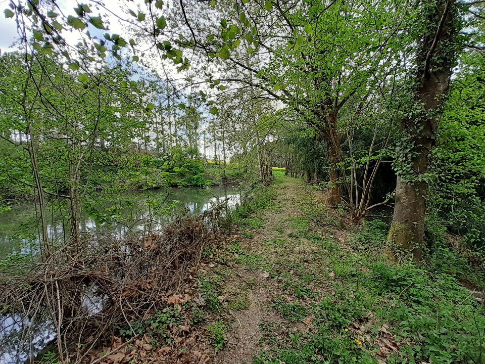 Terrain  à Corps nuds