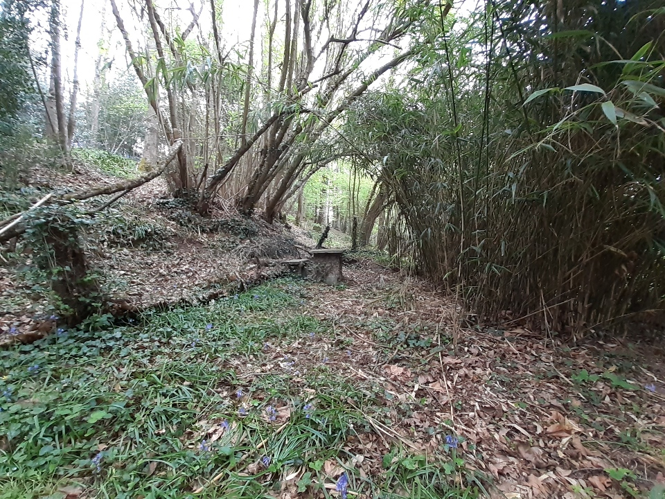 Terrain  à Corps nuds