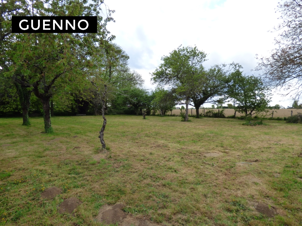 Terrain  à La guerche de bretagne