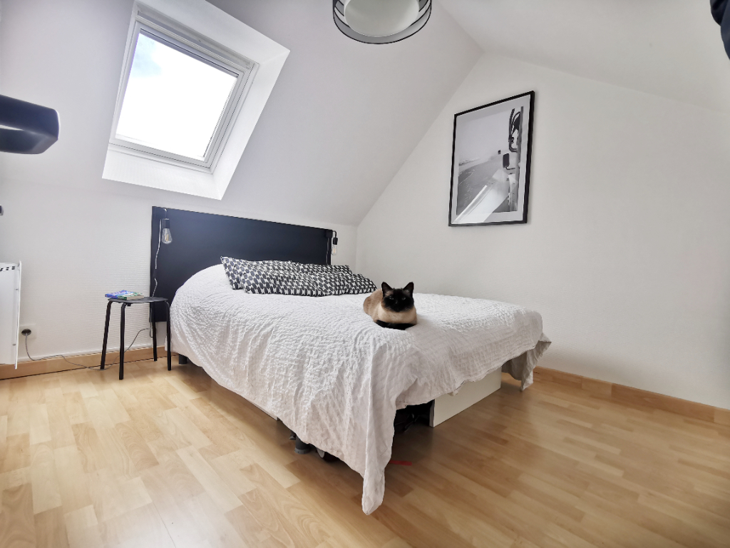 Appartement T3 à Melesse
