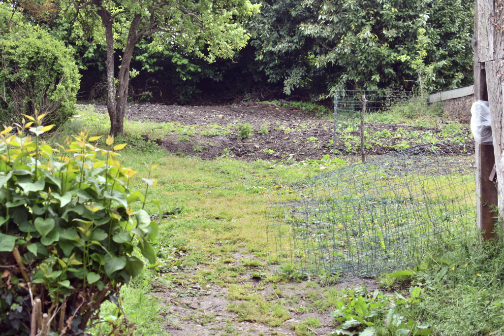 Immeuble T9 à Louvigne de bais