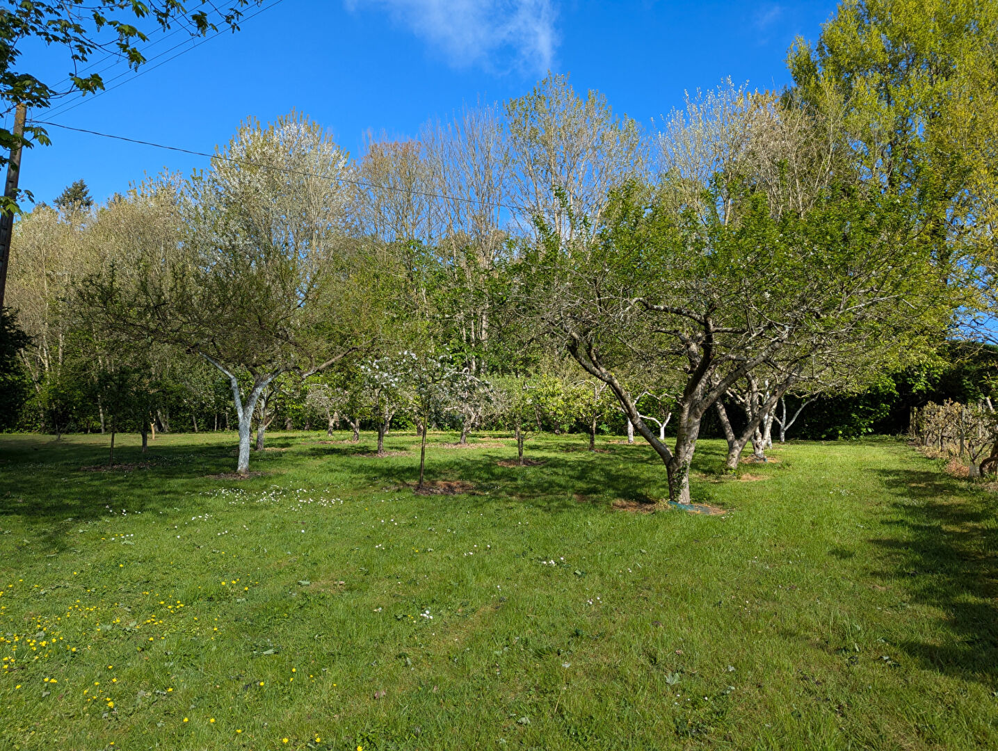 Terrain  à Nouvoitou