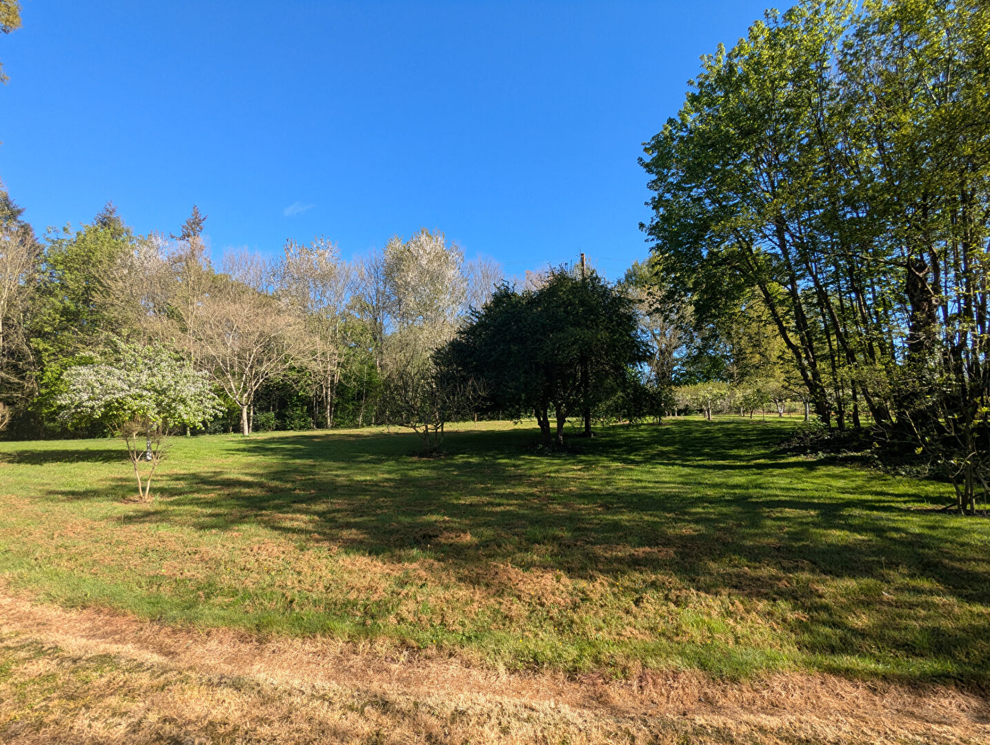 Terrain  à Nouvoitou