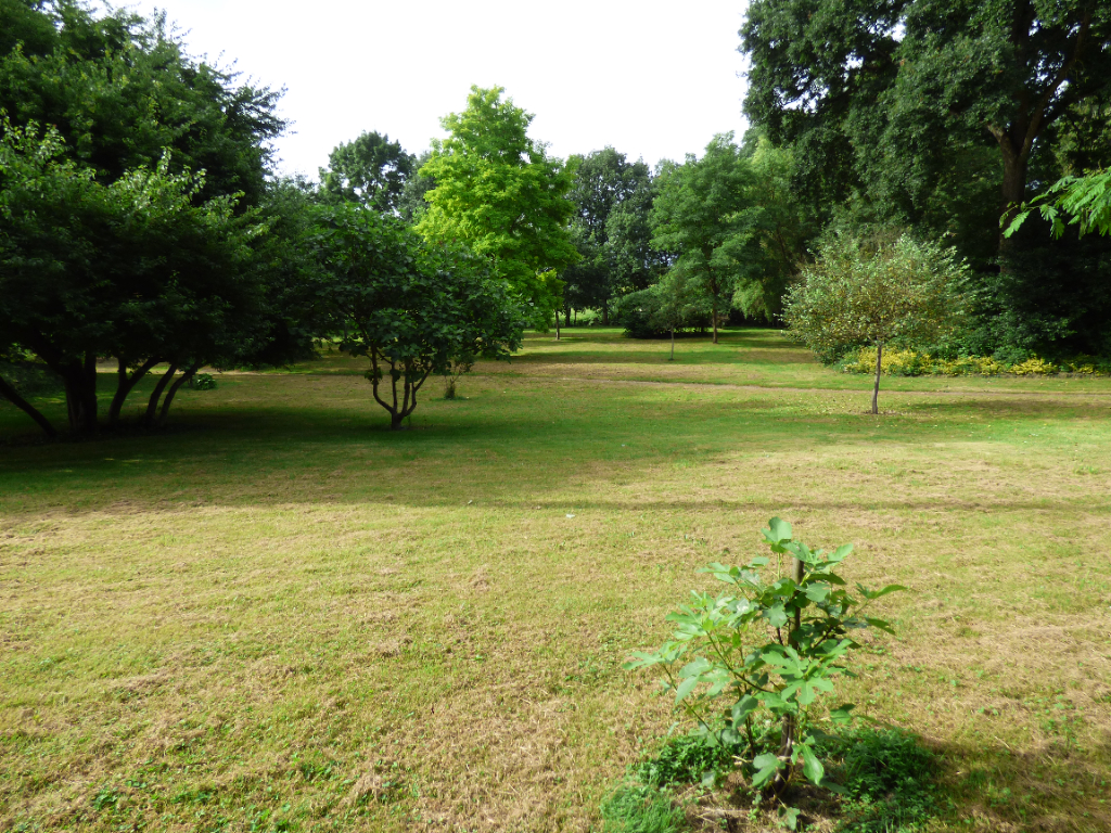 Terrain  à Nouvoitou