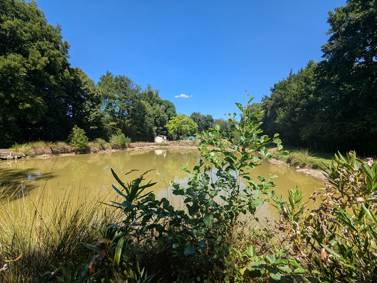 Terrain  à Retiers