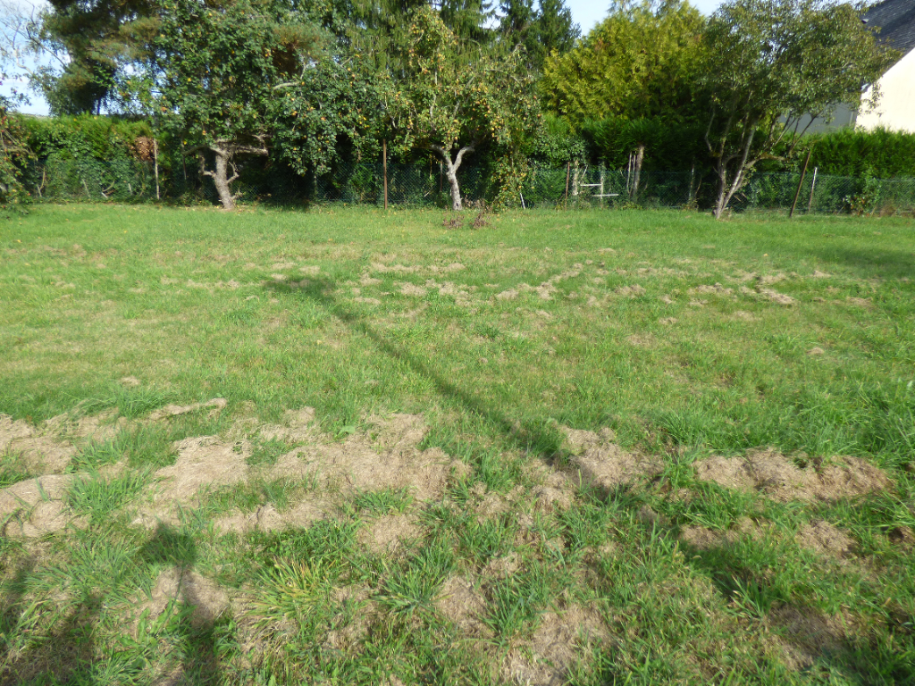 Terrain  à Ferce