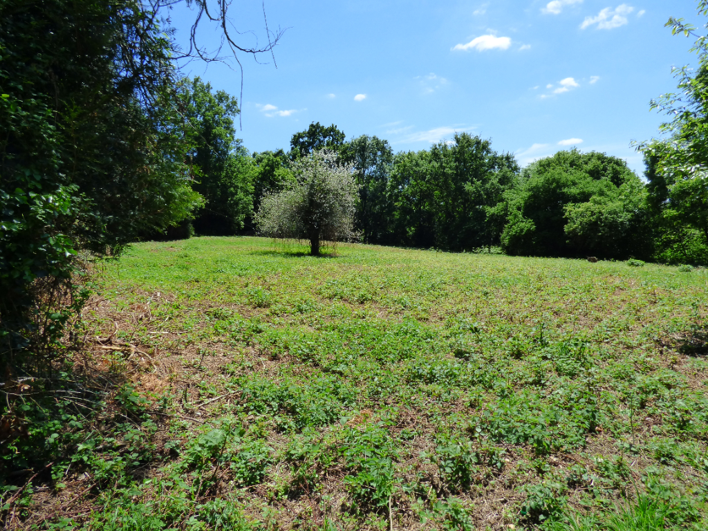 Terrain  à Nouvoitou