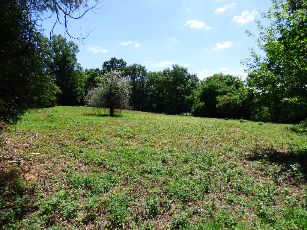 Terrain  à Nouvoitou