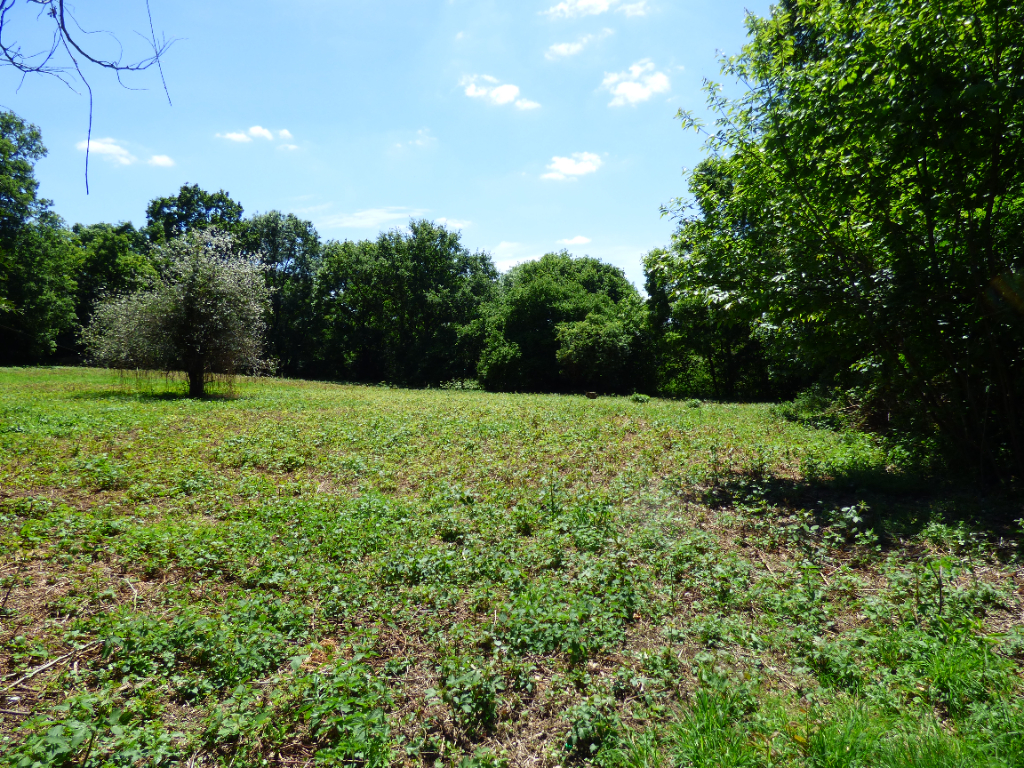 Terrain  à Nouvoitou