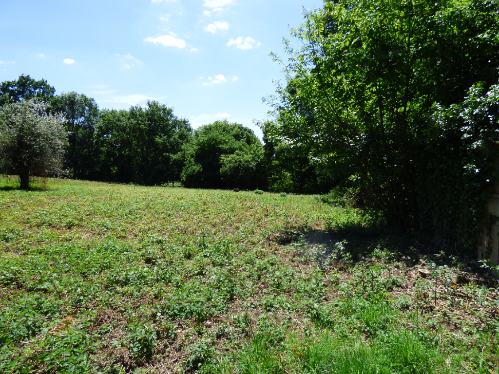 Terrain  à Nouvoitou