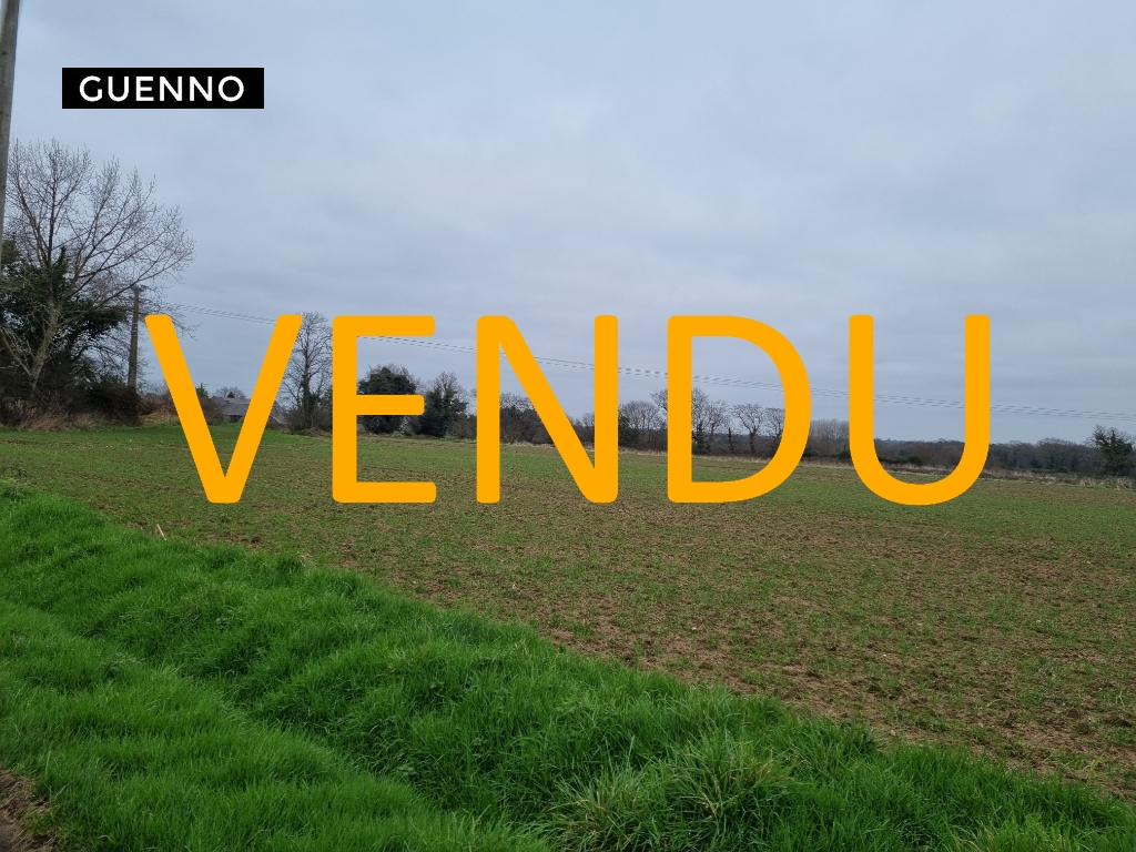 Terrain  à La landec