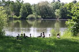 Terrain  à Corps nuds