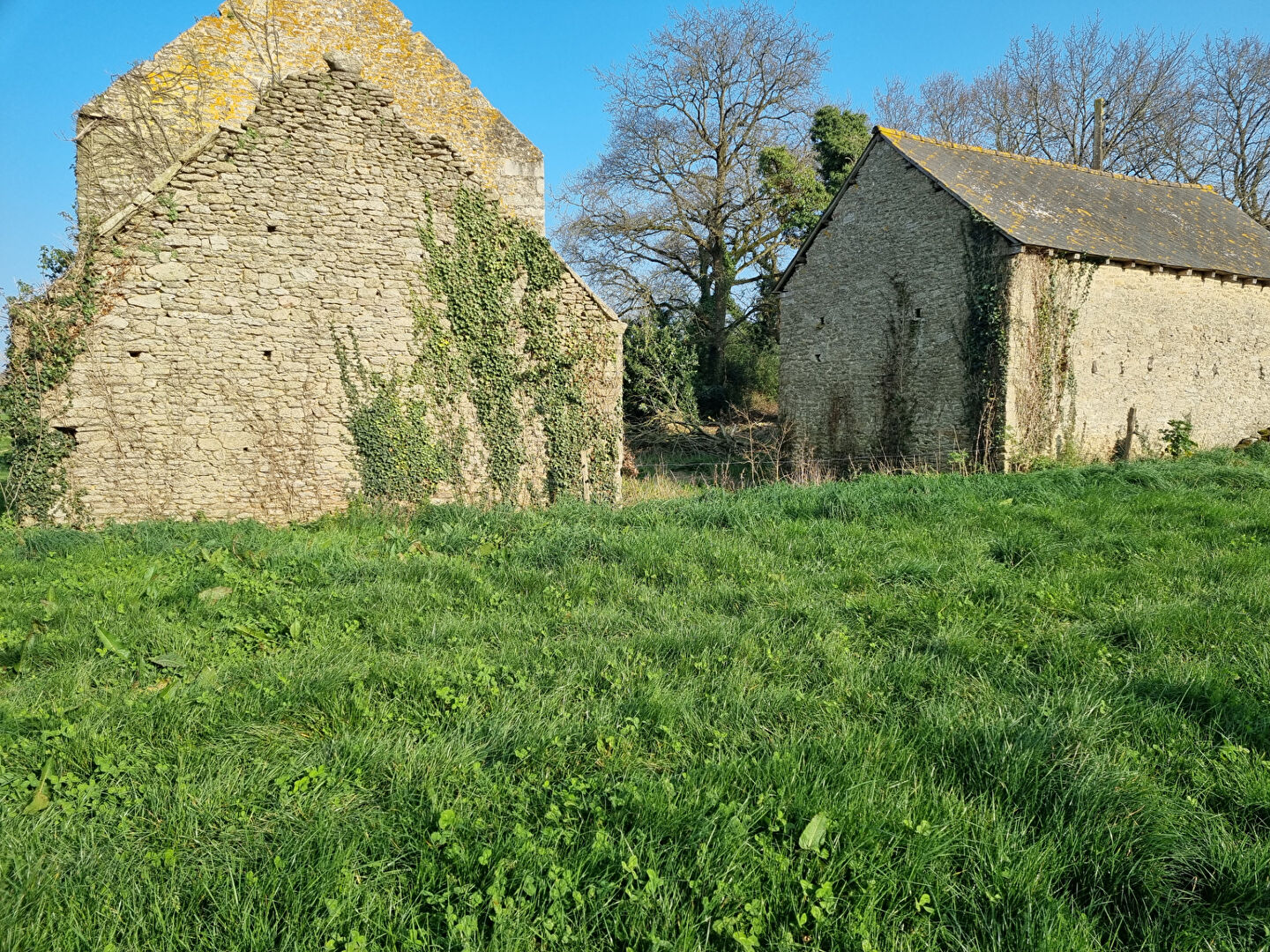 Maison T0 à Yvignac la tour