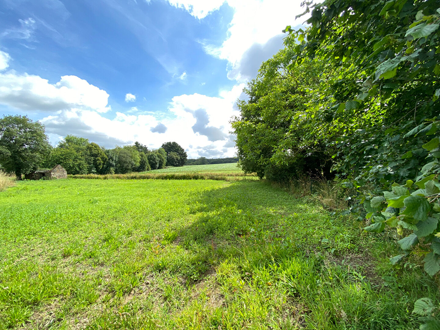Terrain  à Saint ganton