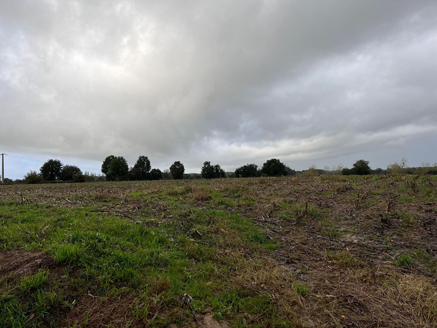 Terrain  à Le crouais