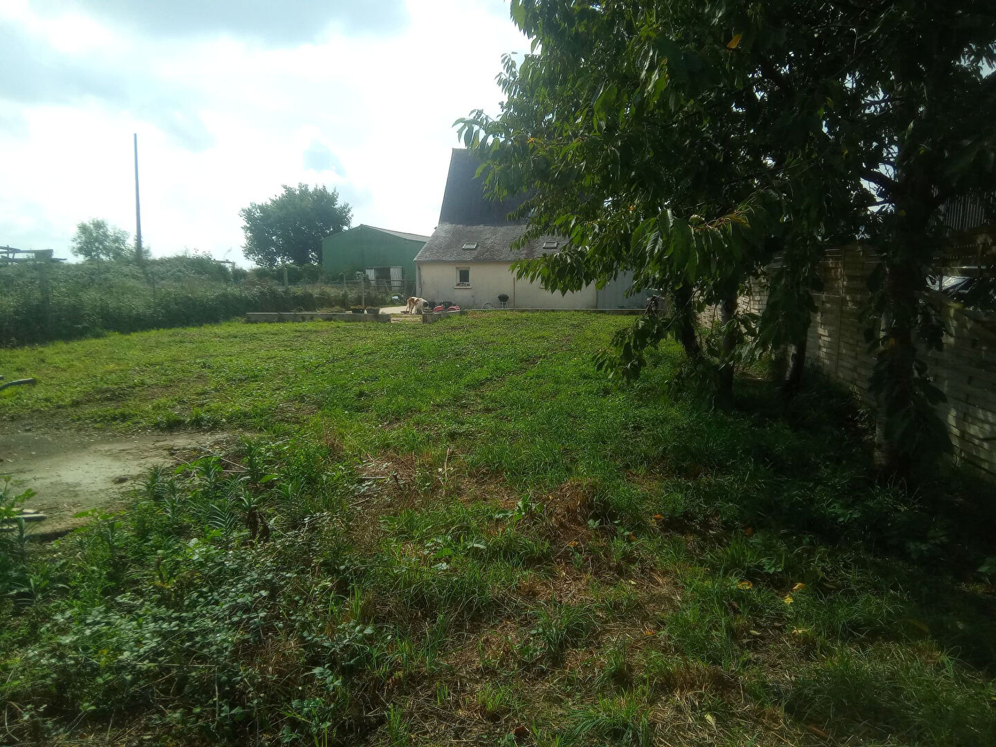 Maison T3 à Senonnes