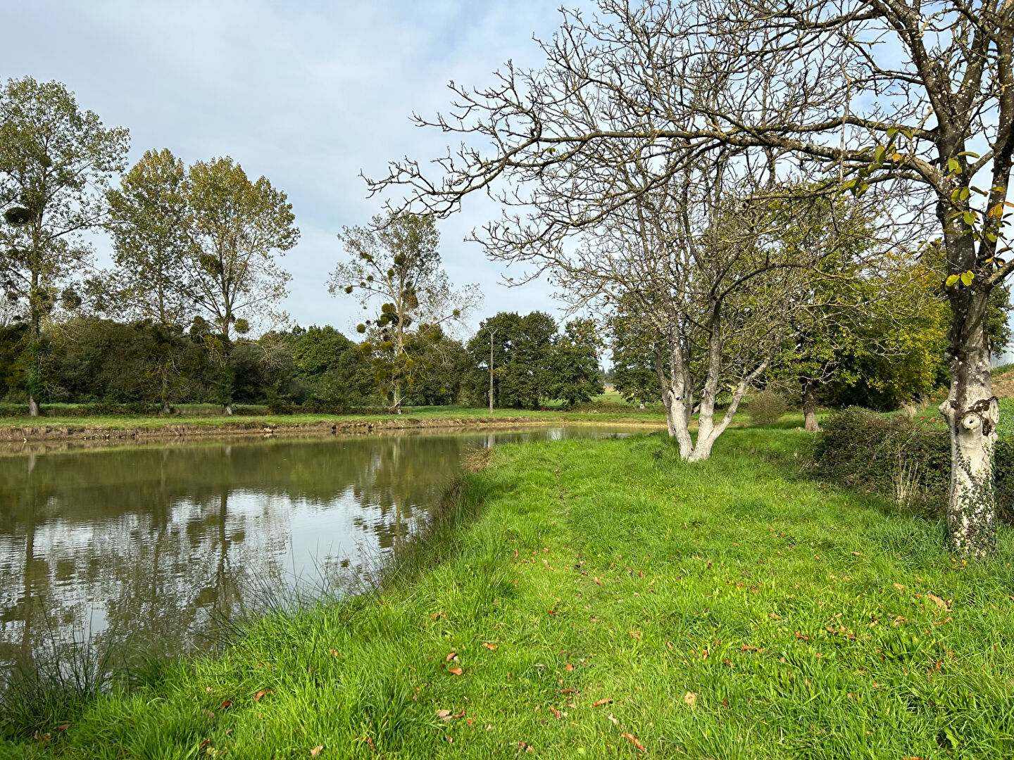 Terrain  à Montauban de bretagne