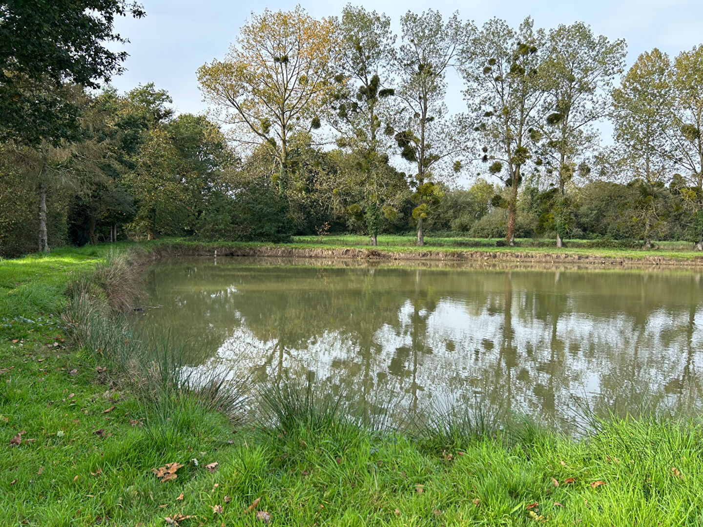 Terrain  à Montauban de bretagne