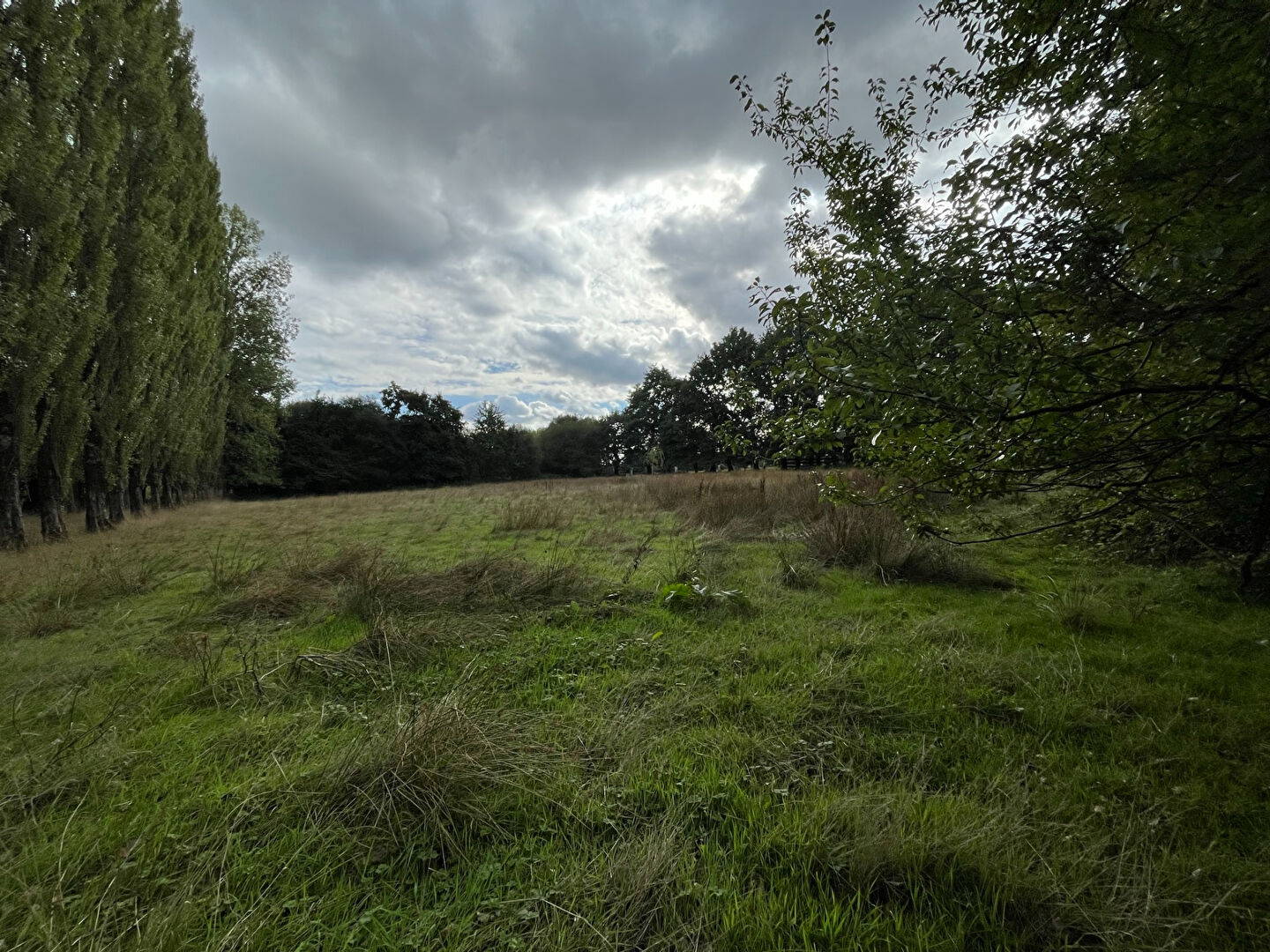 Terrain  à Hede bazouges