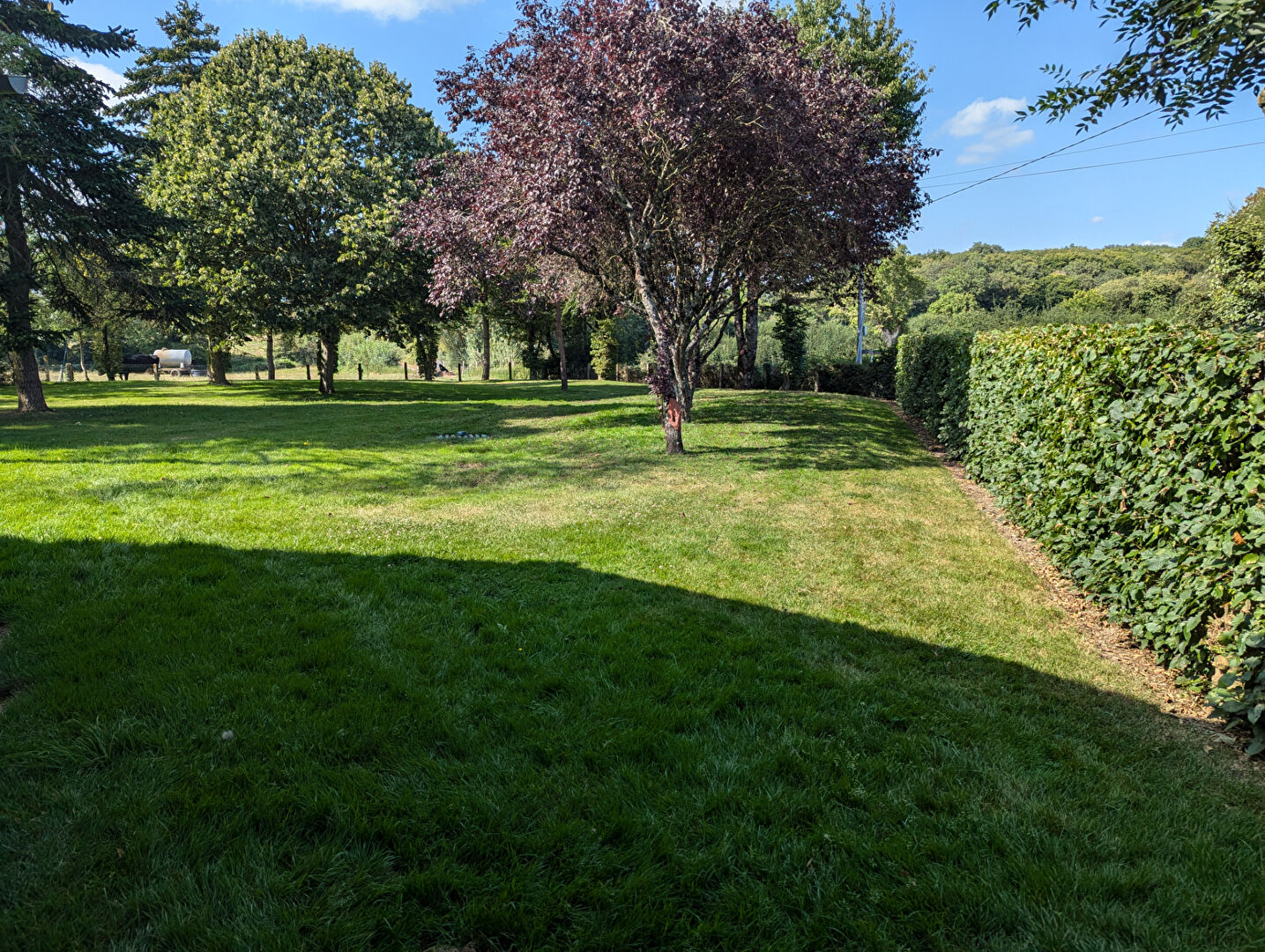 Maison T6 à Ferce