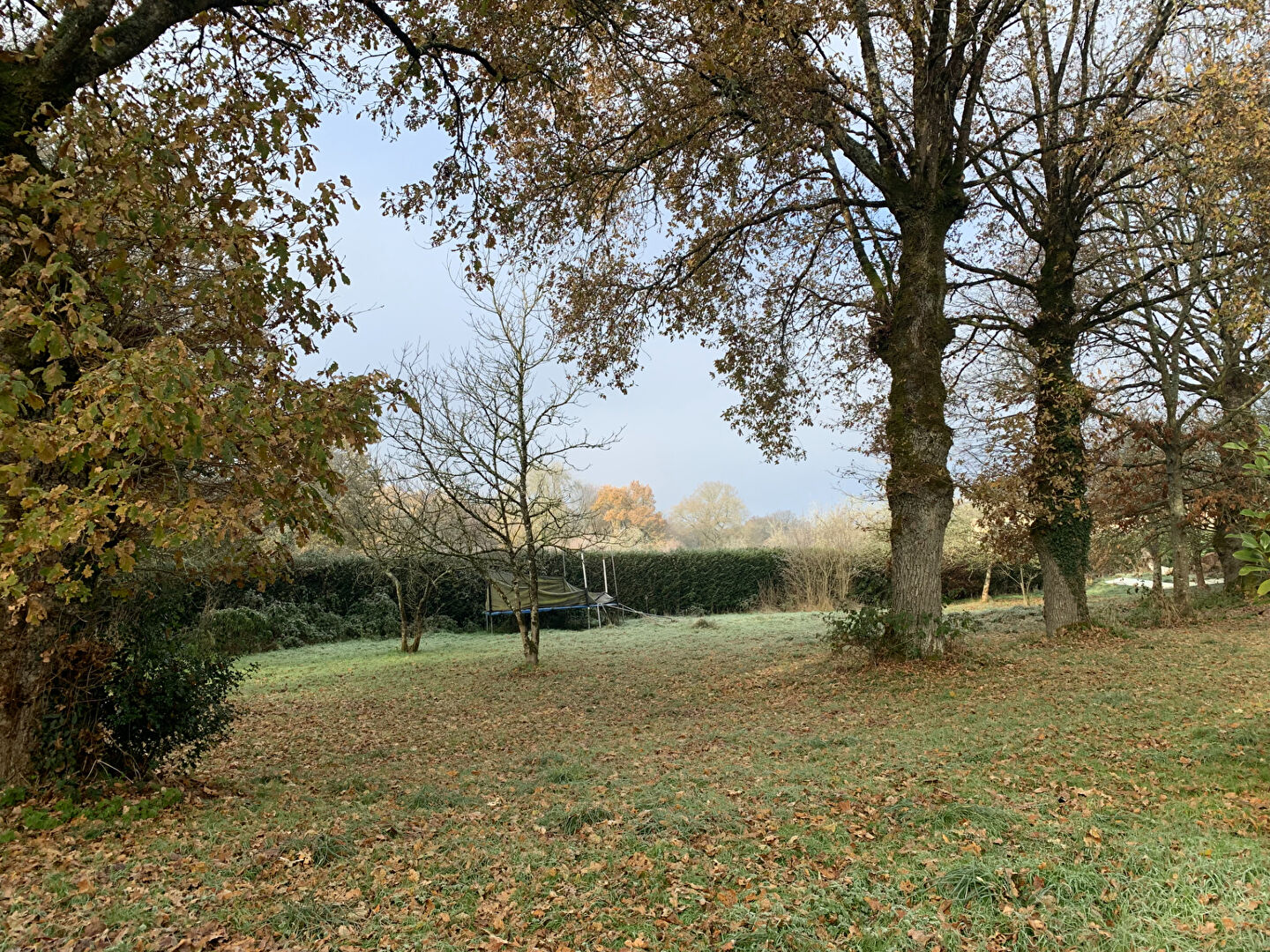 Maison T9 à Plelan le grand