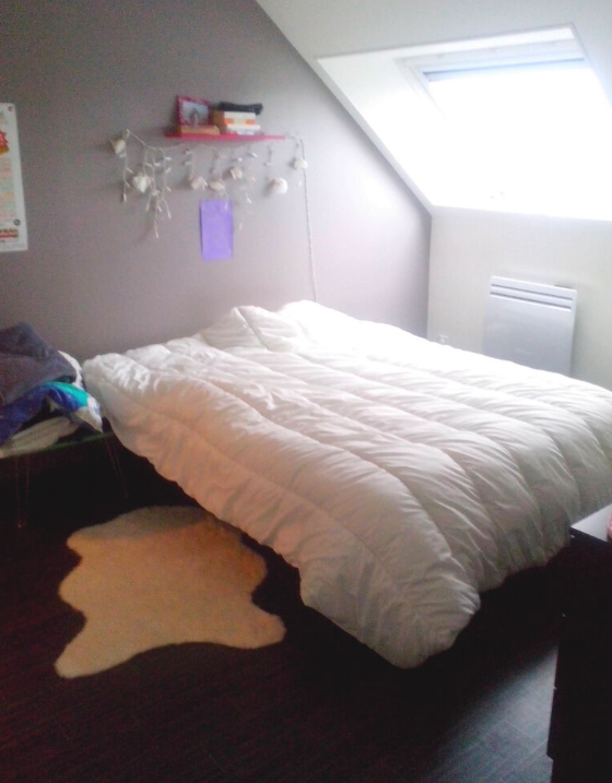 Appartement T5 à Rennes
