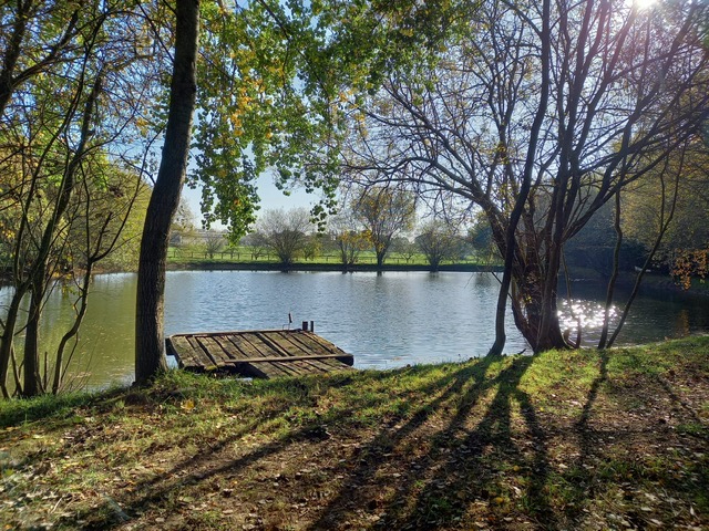 Terrain  à Brie