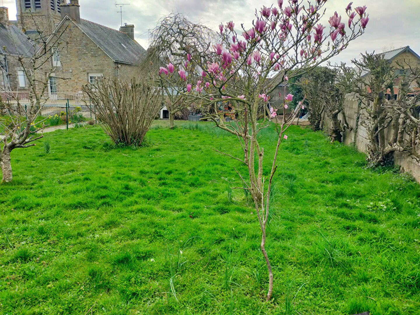 Maison T7 à Prince