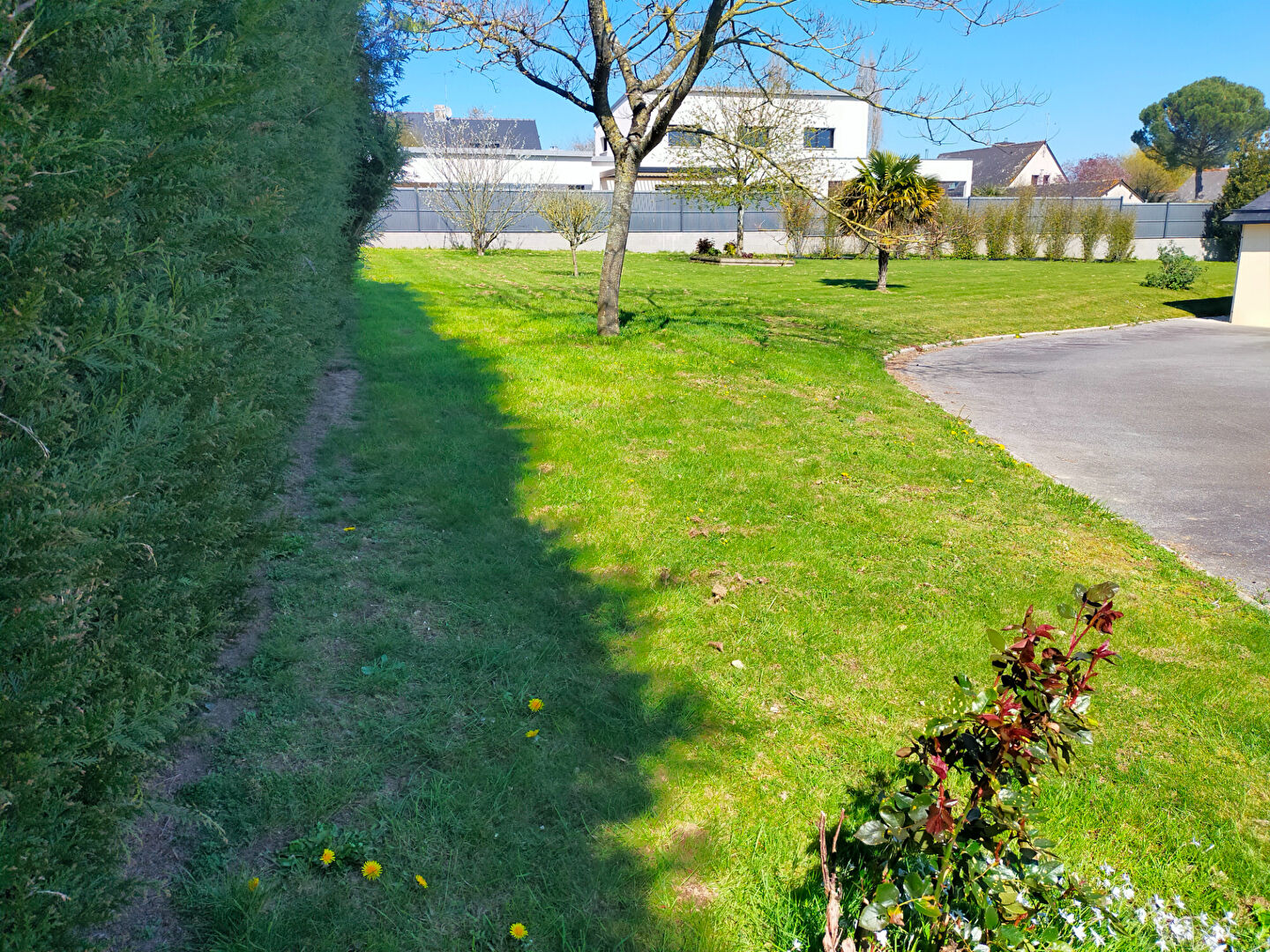 Terrain  à Chateaugiron