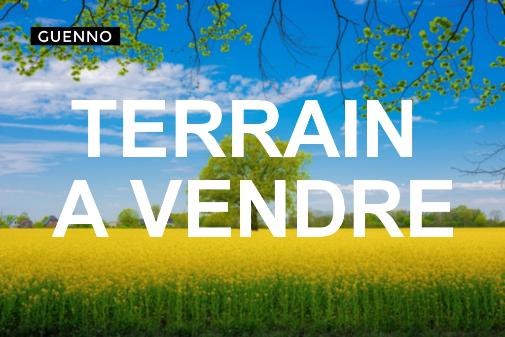 Terrain  à Saint thual