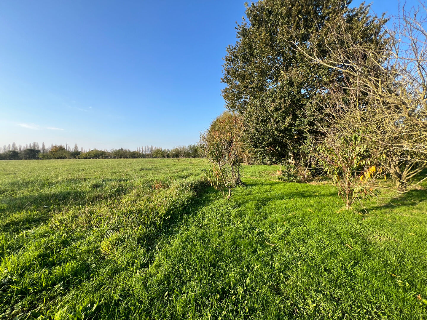 Maison T6 à La meziere