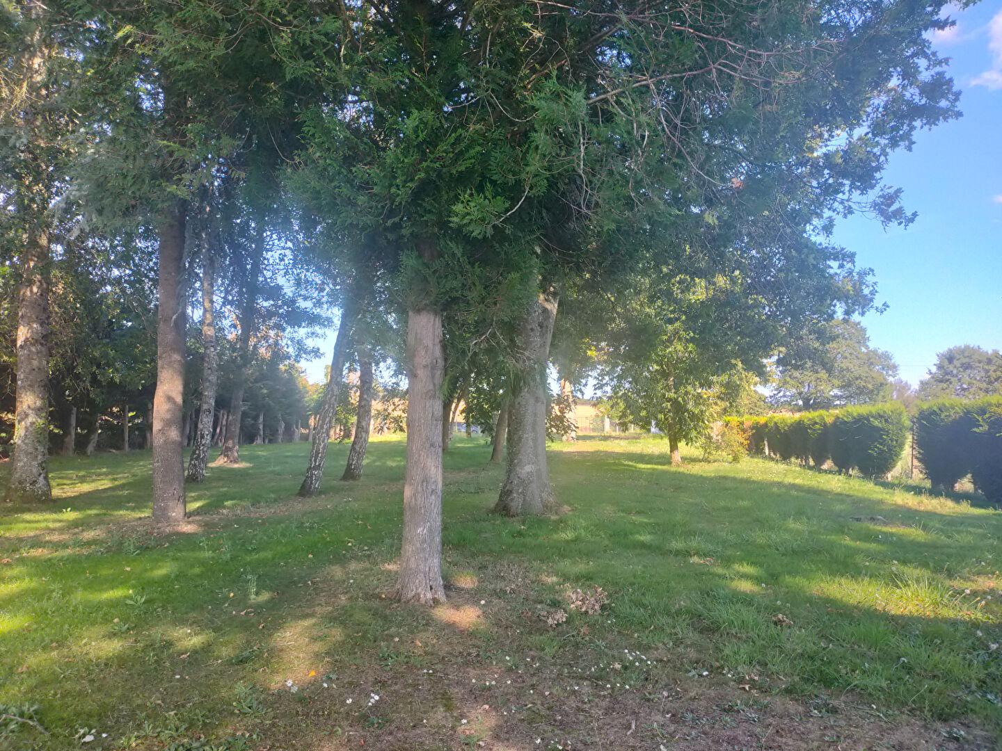 Terrain  à Pire chance