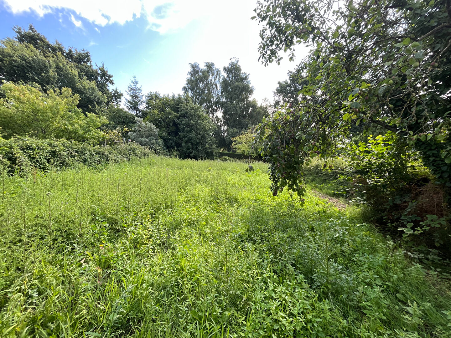 Terrain  à Landujan