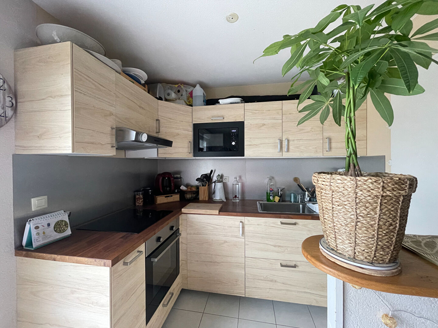 Appartement T2 à Saint meloir des ondes