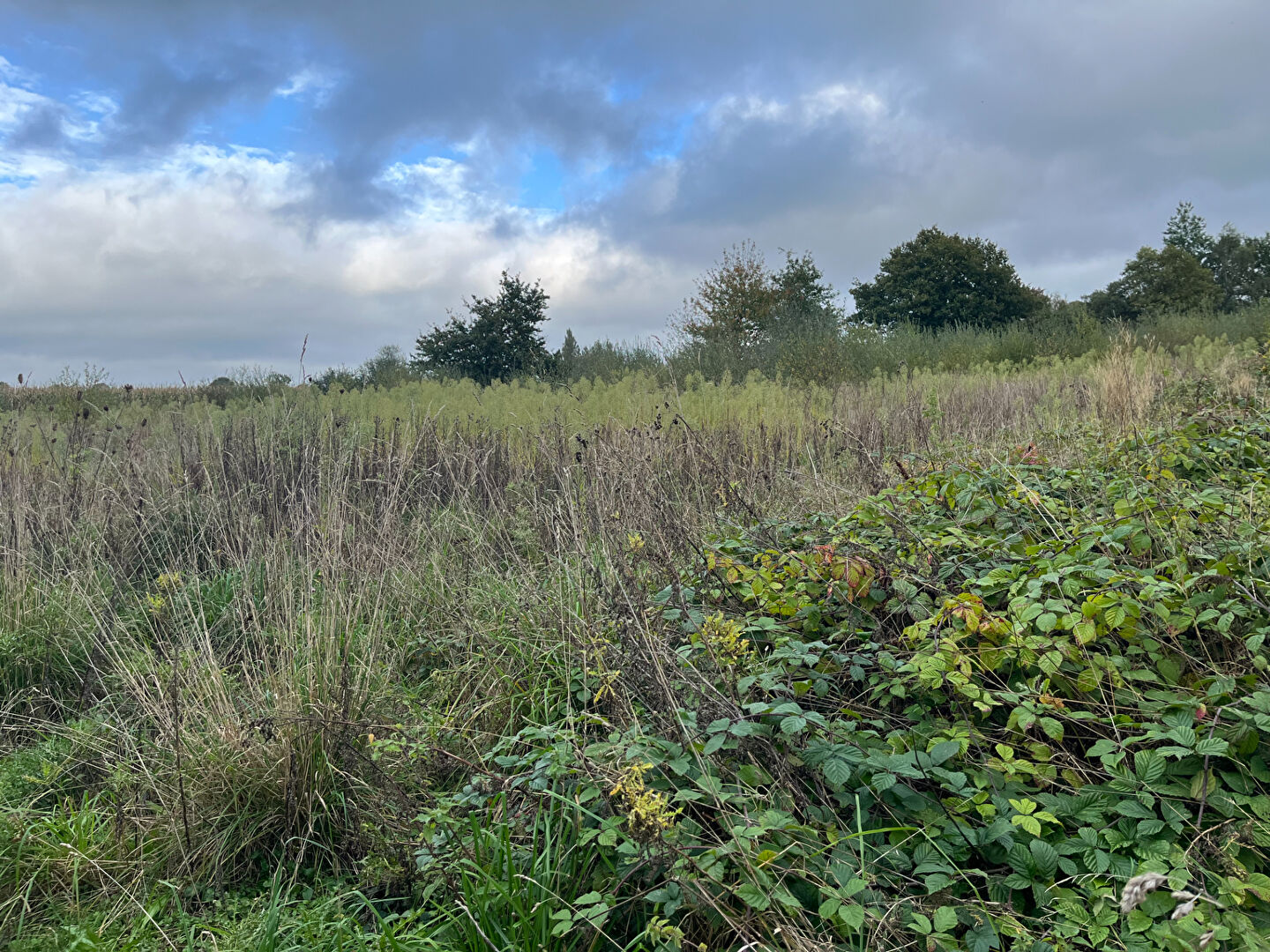 Terrain  à Montauban de bretagne