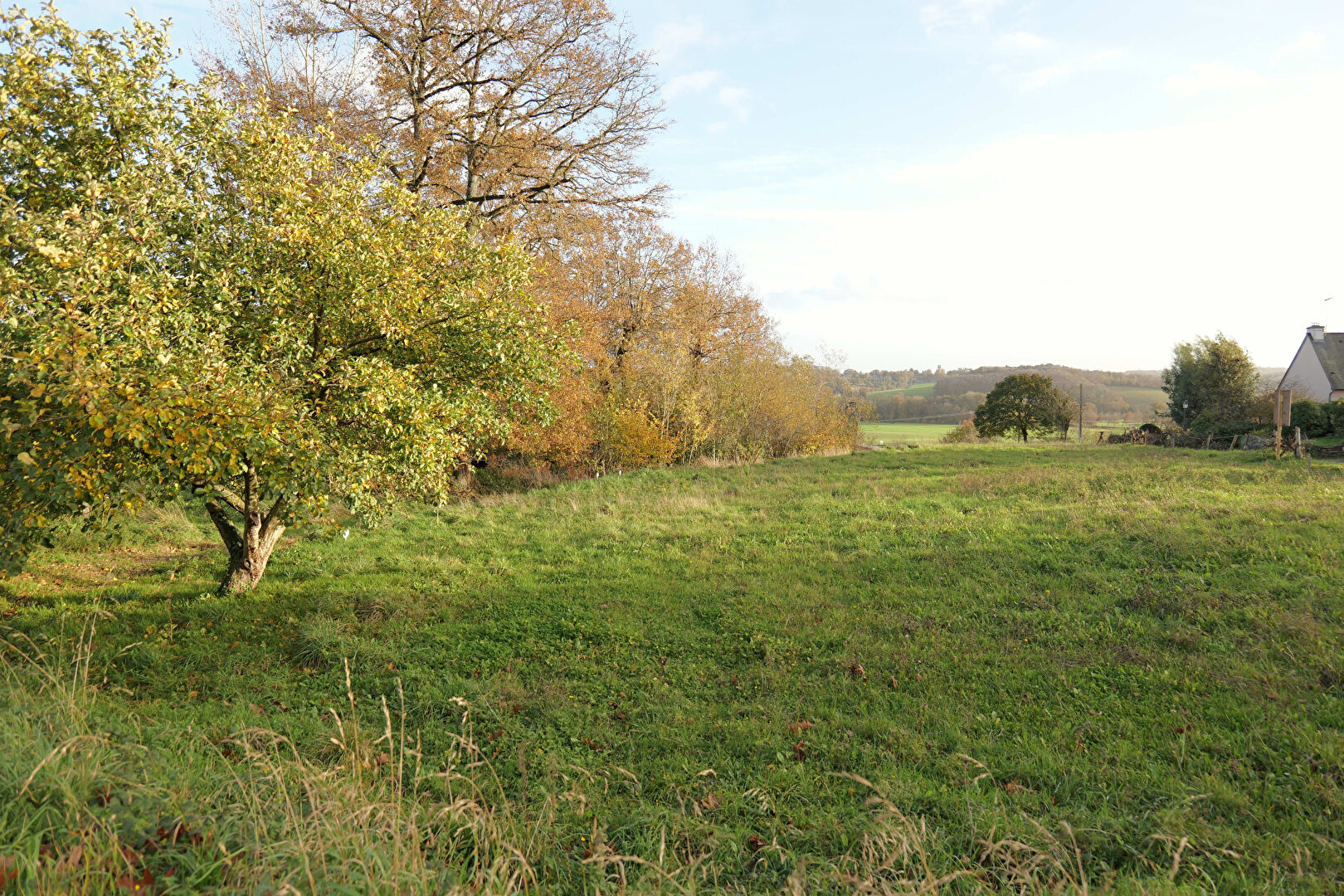 Terrain  à Monterfil