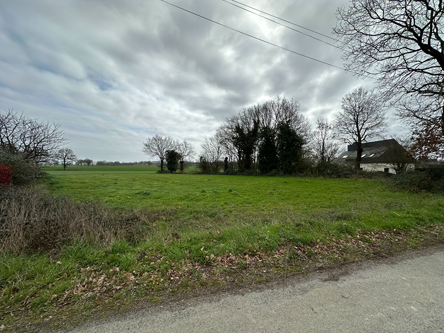 Terrain  à Louvigne de bais