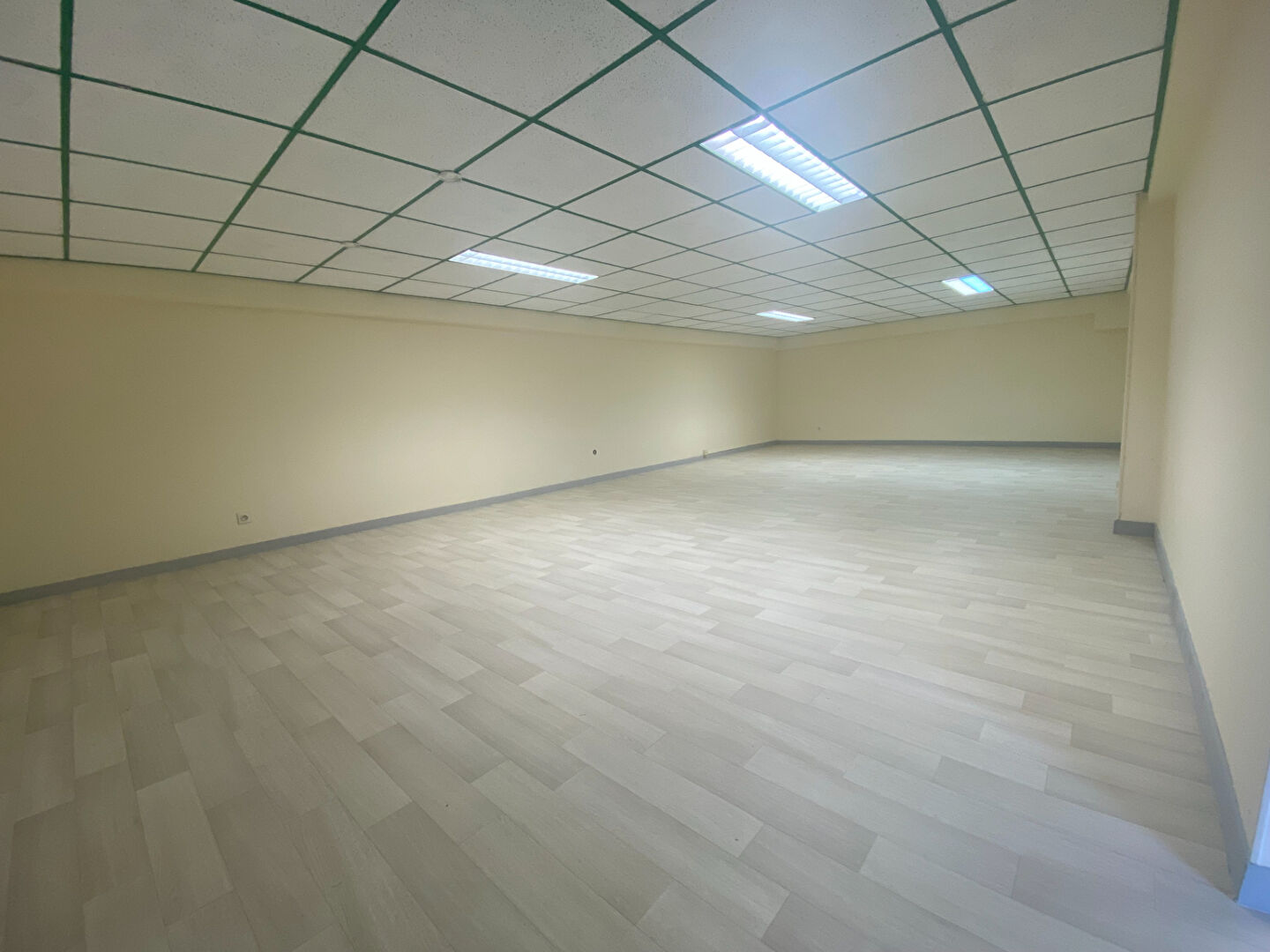 Bureaux à Pace