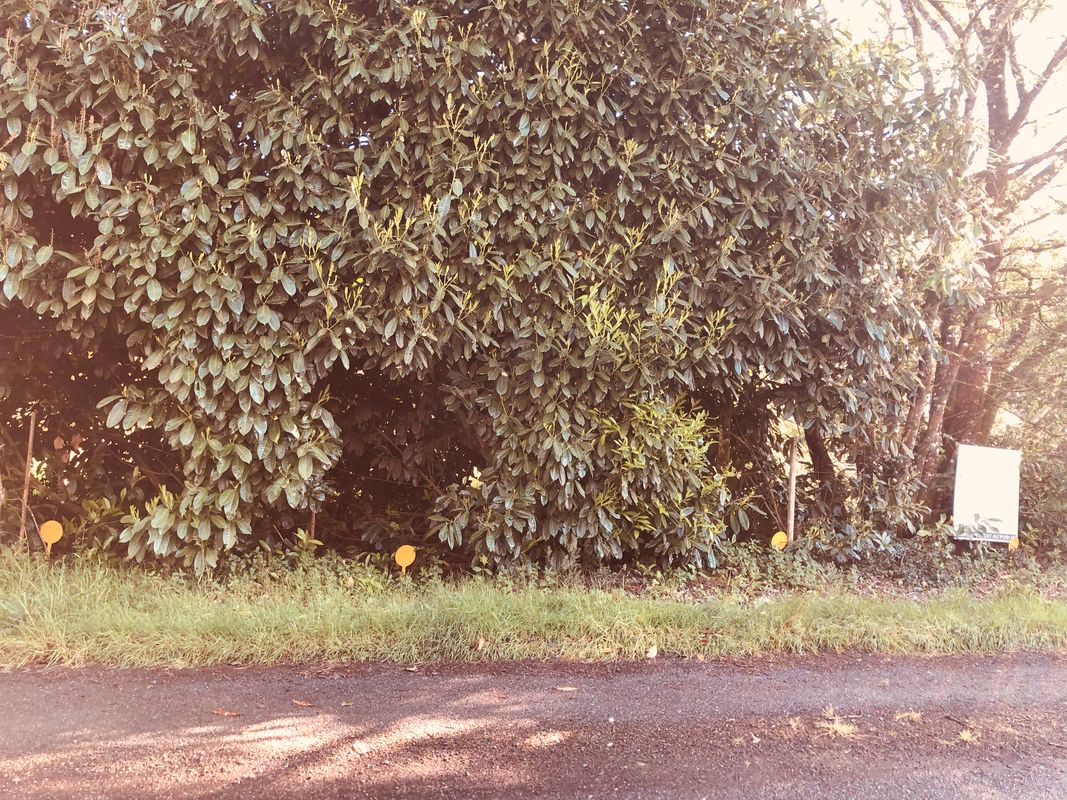 Terrain  à Pance