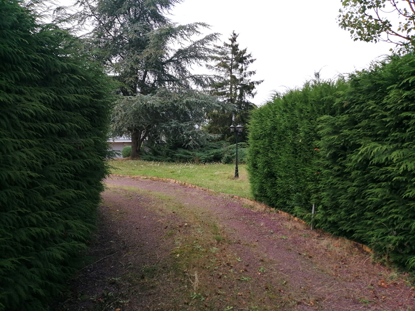 Terrain  à Breal sous montfort