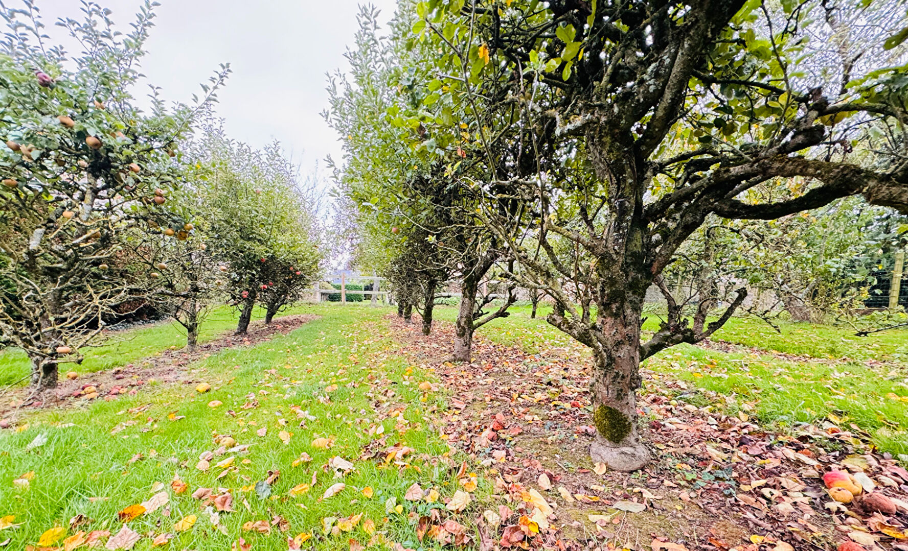 Maison T7 à Quelaines saint gault