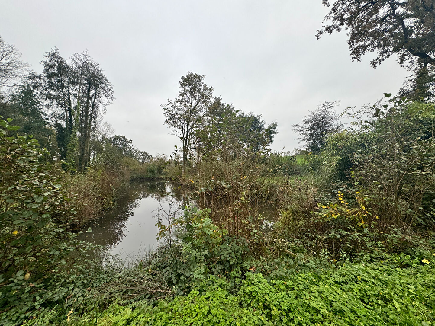 Terrain  à Le genest saint isle