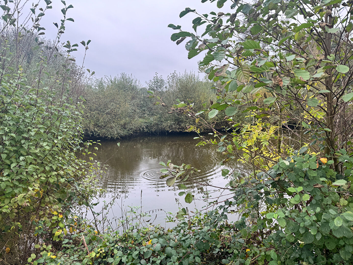 Terrain  à Le genest saint isle