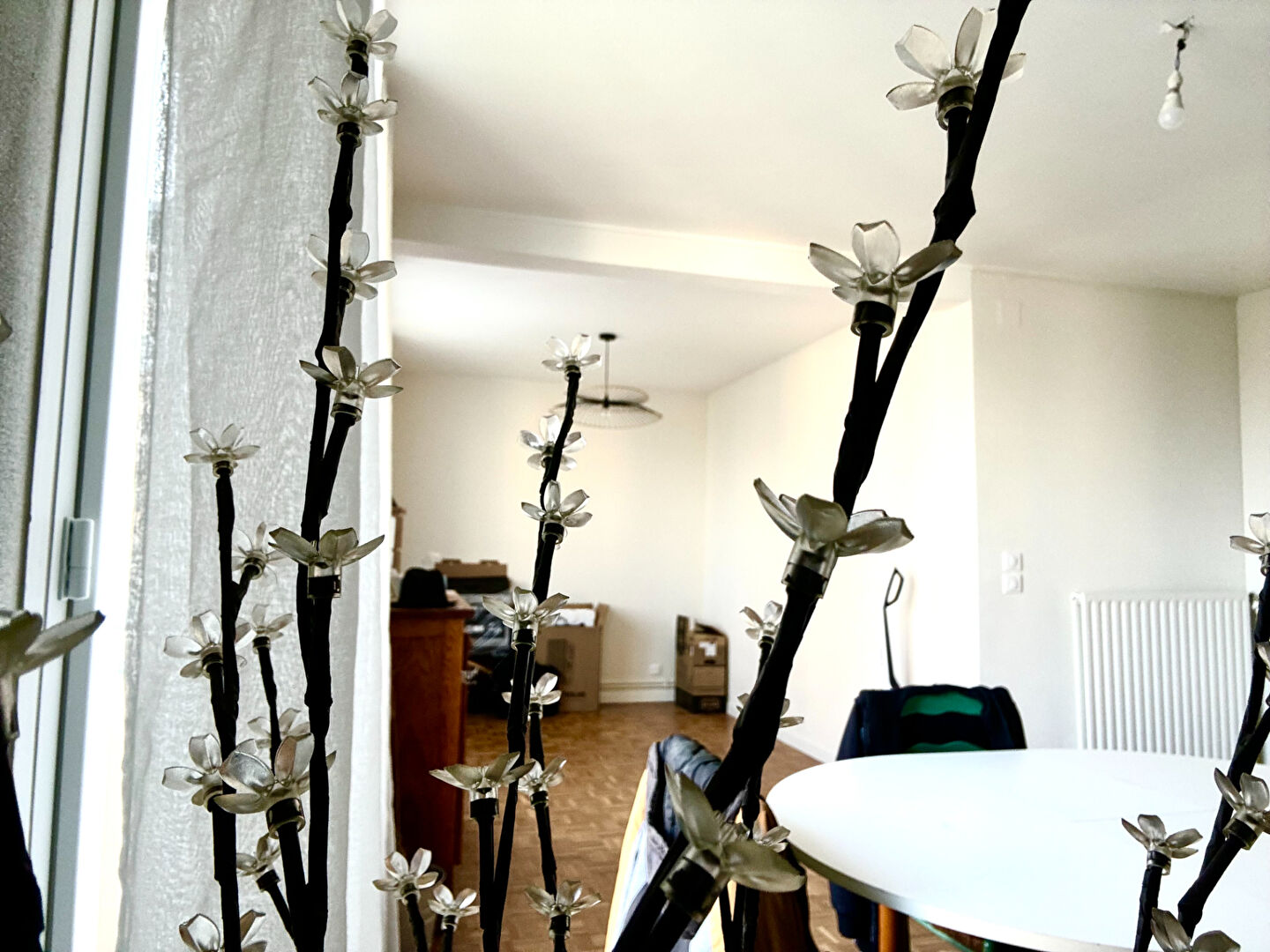 Appartement T3 à Saint berthevin