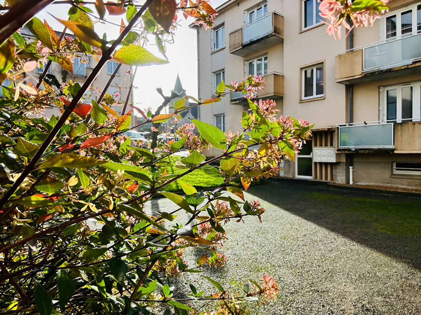 Appartement T3 à Saint berthevin